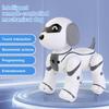 RC Robot Puppy Early Learning Remote Control Toy for Girls Boys Adults