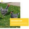 Колышек Петух Курица Скульптура Двор Сад Животное Статуэтка Фигурка Колышки Украшения Акриловый Задний Двор Газон Знак Орнамент