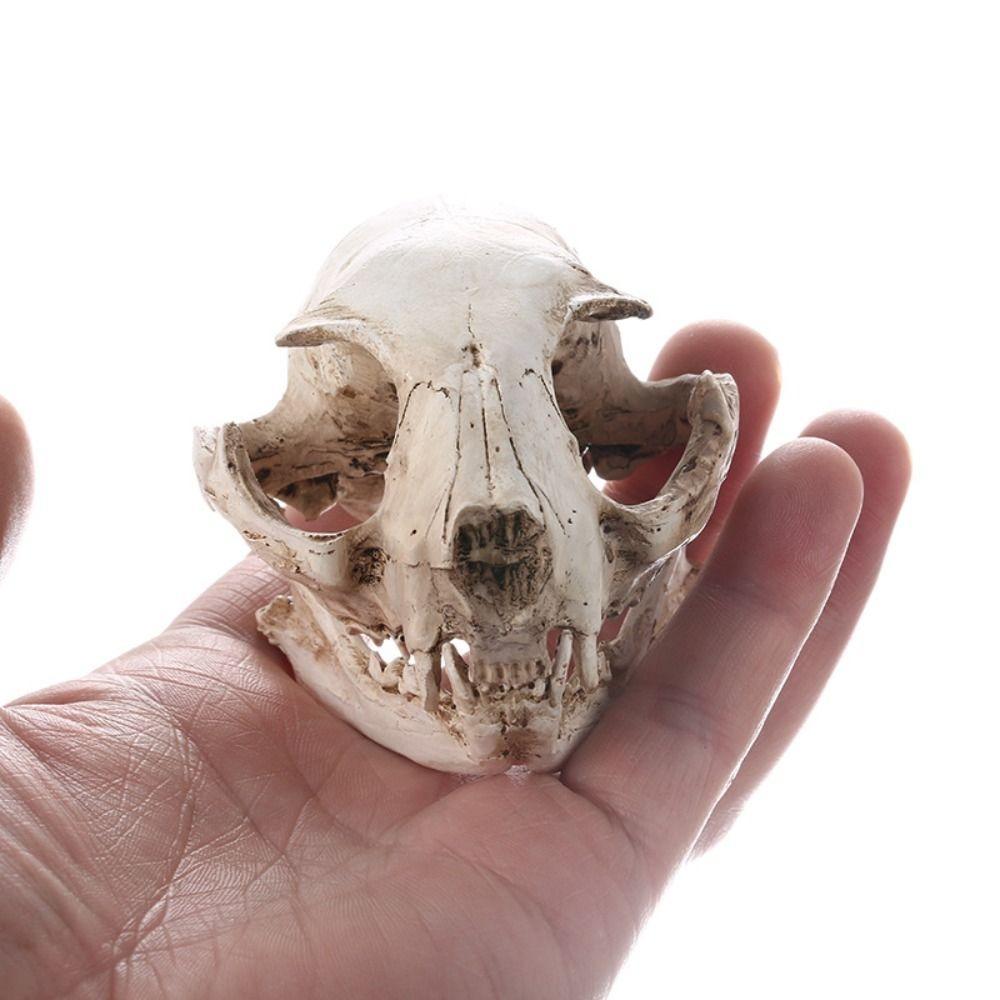 Resin Animal Skull Ornament Funny Cat Skull Statue Halloween Cat Skull Model  Halloween Decor Gifts
