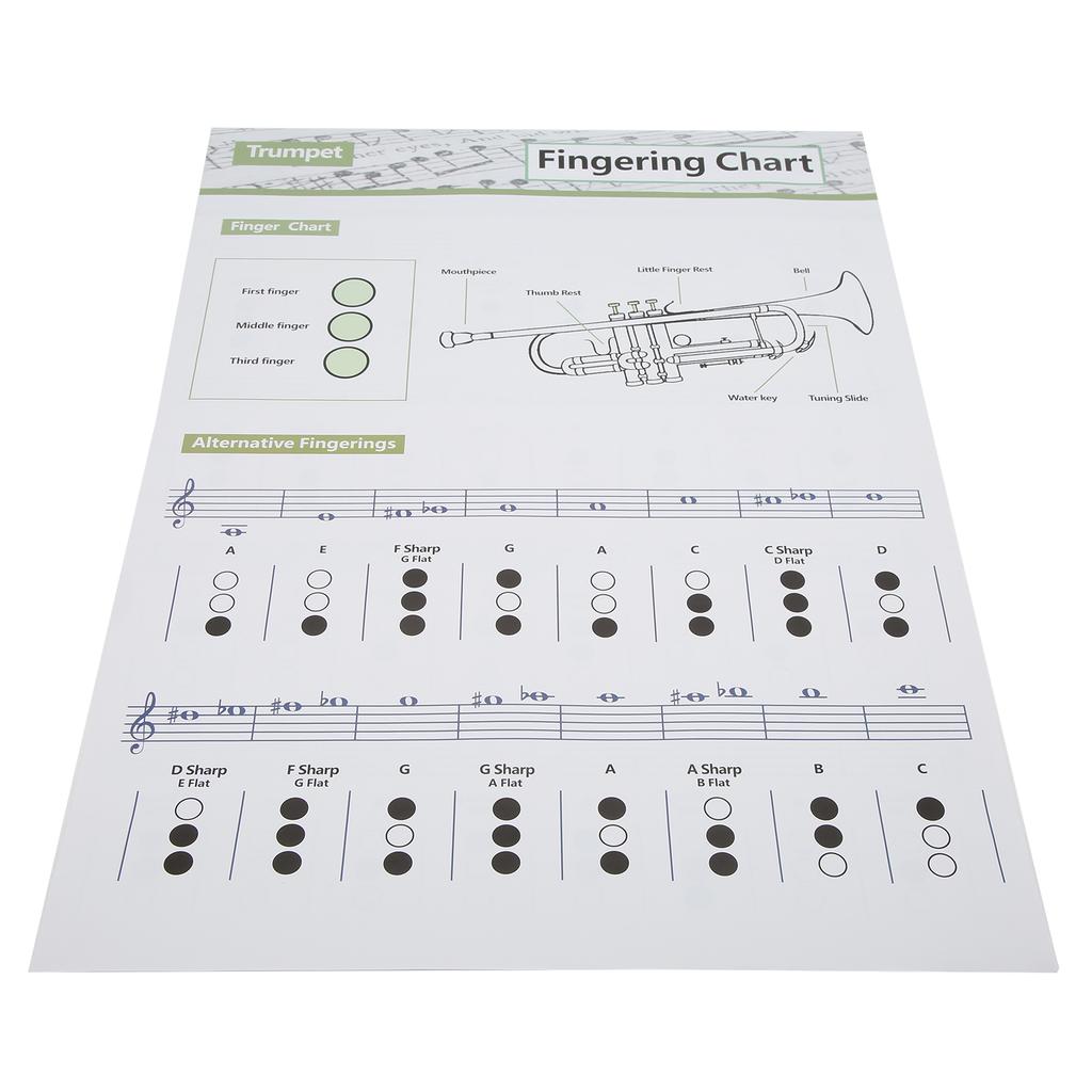 Таблица аккордов для трубы. Аппликатура нот. Справочное руководство по музыкальным инструментам для домашнего обучения.