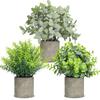 T4U Fake Green Ornamental Plants Fake Small Indoor Set of 3 Interior Gift