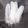 50Pcs White Feather Goose Feather Hard Floating Dream Net Decorative Wings Sun Flower Wall Decoration Kindergarten Handmade Art Class Materials