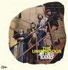 LP Record UNDERDOGS (4) - The Underdogs Blues Band LPS222 Wah Wah Records 2020 Spain Rock