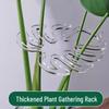 Monstera Plant Stands & Flower-Shaped Support Stakes for Indoor/Outdoor Growth