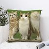 Meowl Owl Наволочка с принтом Полиэстер Чехол для подушки Декоративный Квадратный Дом Мягкий Удобный Диван Спальня