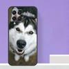 Animal Husky Puppy For Samsung Galaxy M13 M33 M53 M12 M32 M52 M14 M34 M54 M20 M51 M21 M30s M31s M15 M55 Case