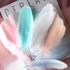 50Pcs Goose Feather Soft Big Floating Diy Sunflower Wall Decoration Dream Catcher Wing Decoration Handmade Material Colored Cat Stick Feather