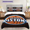 Vibrant Detroit Pistons Logo Three-piece set(1 * duvet cover + 2 * pillowcase, without core) Soft and comfortable Duvet cover and pillowcase
