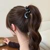 Matte Finish Shark Clip Large Ponytail Clip New Acrylic Hair Claw  Headwear Accessories