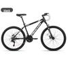 Flying Pigeon DF005 Mountain Bike