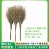 Shihu Outdoor Bamboo Broom for Garden and Construction Site