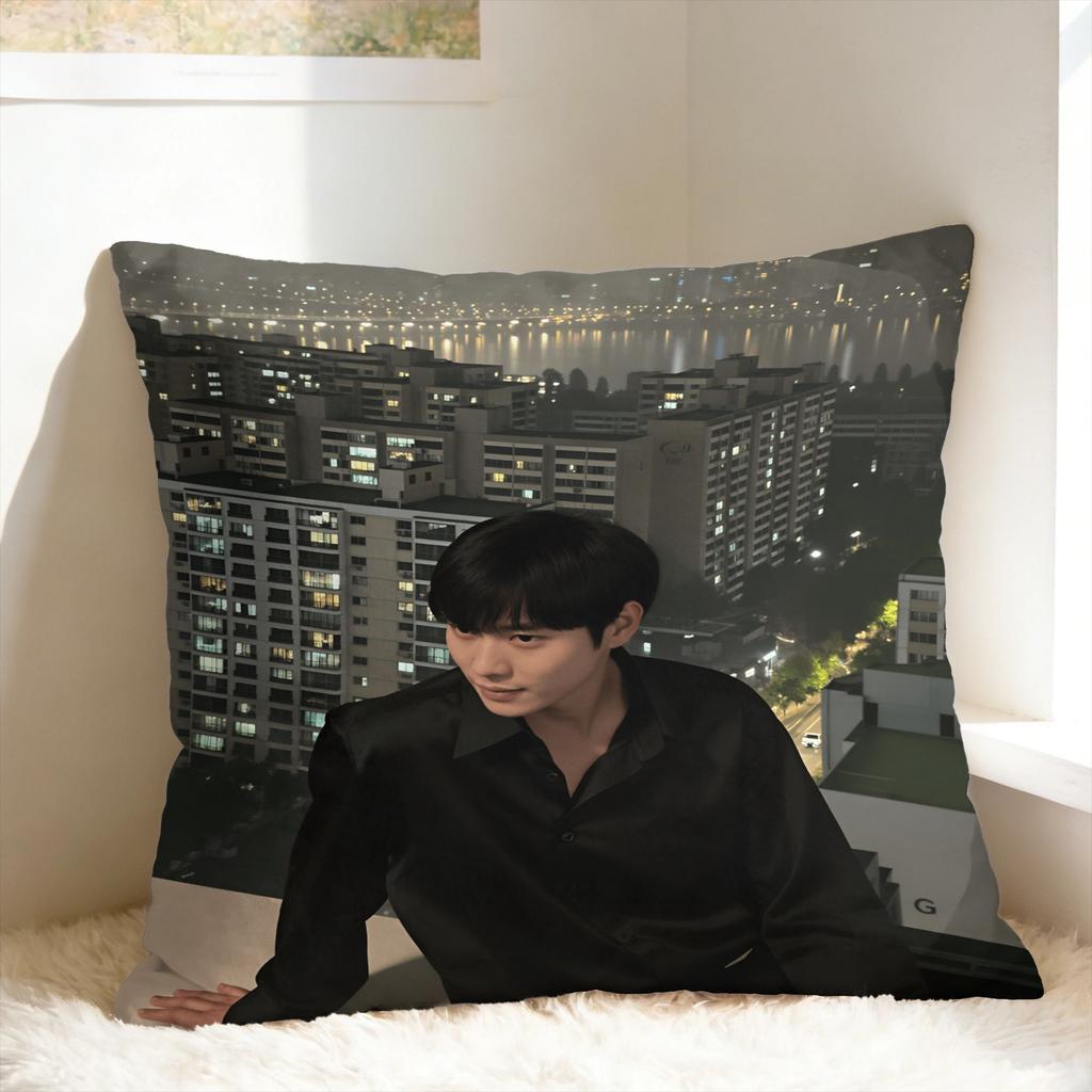 Pillow Case Y-Young-Dae Kim Soft Pillow Cover For Wedding Party Home Decor Morden Pillowcases