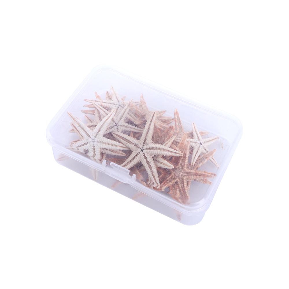 Conch Sea Shells for Aquatic Pet Starfish Fish Tank Decoration Aquarium Supplies Resin Casting