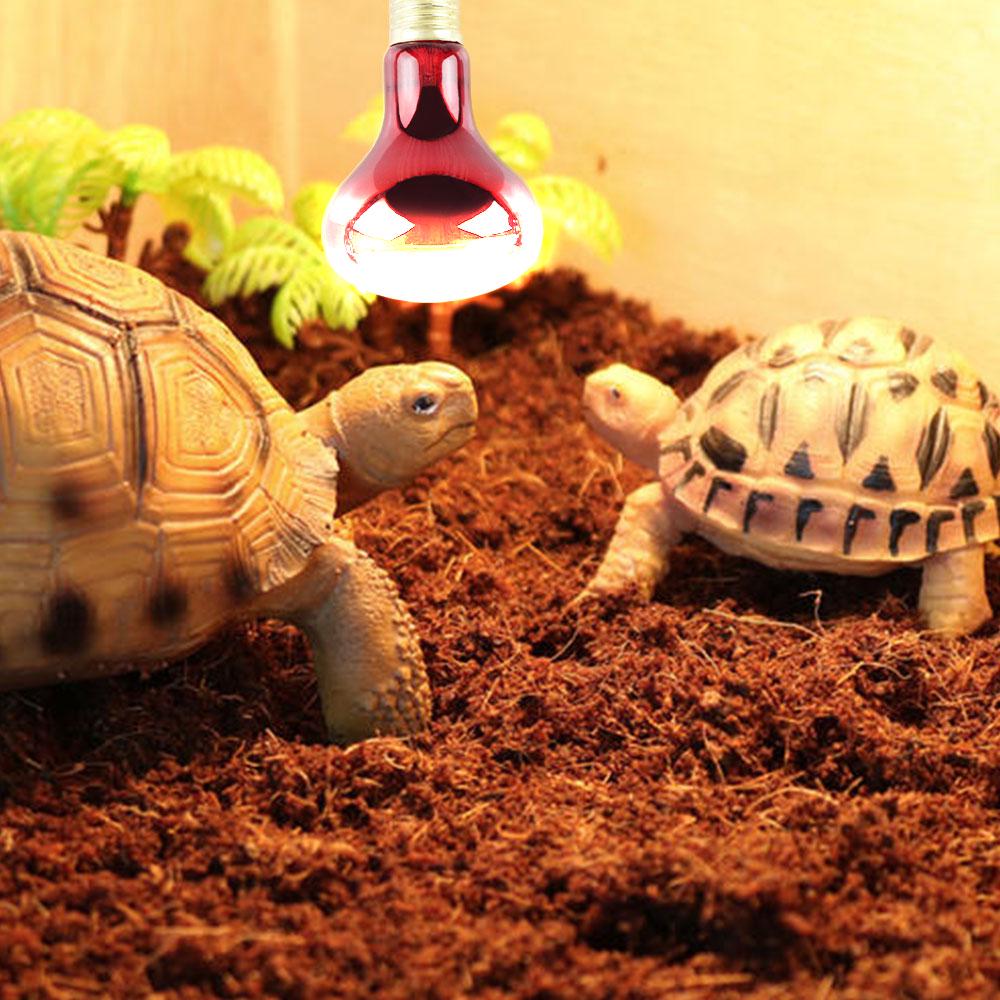 Reptile Lamp Night Infrared Heating Lamp Reptile Lizard Warming Insulating Bulb