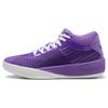 Clyde All-Pro x LaMelo Ball 'Purple Glimmer' Мужские 379339-01