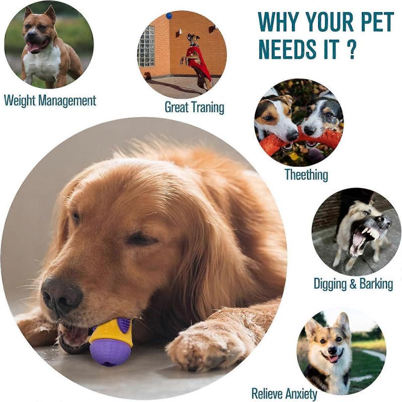 Dog Chew Toy, Puppy Teething Chew Toy with Leaky Holes for Pets, Natural Rubber Teeth Cleaning and Gum Massage for Small and Medium Dogs Purple