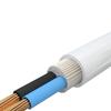 Xingongpai RVV Two-Core Copper Soft Wire