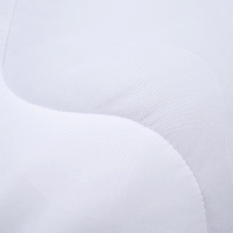 Mercury DH Du Sang Antibacterial All-Season Fiber Quilt