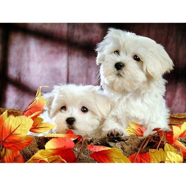 DIY 5D Алмазная картина Собака Милый питомец Вышивка крестом Алмазная вышивка Животное Мозаика Полный дрель Круглый