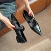 Pointed Retro Low-heeled Flat-heeled Mary Jane Shoes for Women's Spring New Models with Temperament Single Shoes for Women