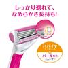 Schick Schick Quattro 4 для женщин Держатель (В комплект входят 2 сменных лезвия.) Женская сменная бритвенная кассета (1 уже прикреплен к основному блоку)