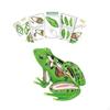 4D Frog Dissection Model, Biology Learning Toy Gift, Aid ,Detachable Organs and Body