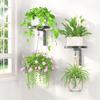 Metal Floating Flower Display Stand Wall Mounted Wall Plant Stand New Plant Holders  Indoor Outdoor