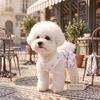 All-Four-Legs Winter Dog Pajamas, Soft All-Over Cherry Print Pet Onesie, Warm Teddy Cat Romper for Pomeranian