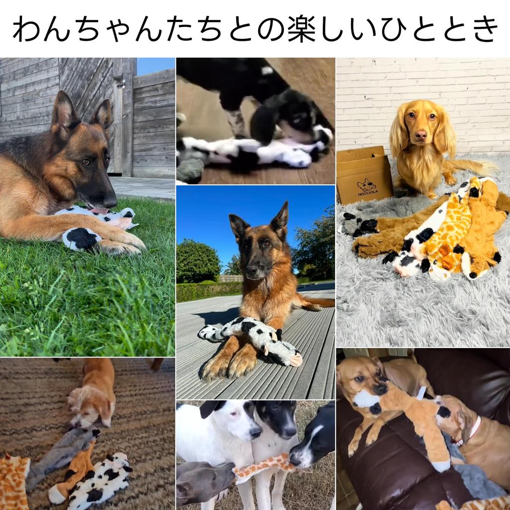 Nocciola Animal Dog Toys Pet No Makes Small Medium Large Dog Toy Stuffed Stress Chewing Pack of 5 Toys, Filling, Sounds, Dogs, Dogs, Dogs, Toys, Set,
