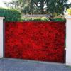 2D Red Rose Wall Backdrop Valentine’s Day & Wedding Photo Booth Background