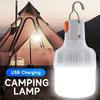 Outdoor USB Rechargeable LED Lamp Bulbs 30W/60W/100W Emergency Light Hook Up Camping Fishing Portable Lantern Night Lights