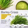 250g Organic Barley Grass Powder original moistening intestines
