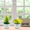 Attractive Simulation Potted Plant Long-lasting 2 Colors UV-resistant