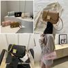 Trendy Small Square Bag For 2024 Spring Fashion Street Style Single Shoulder Underarm Bag