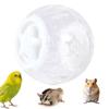 Hamster Ball 21cm Sturdy Plastic Exercise Wheel Toy for Guinea Pig Rabbit Small Pets Temporary Space