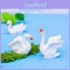 Charming Resin Swan Figurines Diy Creative Micro Landscape Desk Decorations