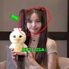 4 шт. Плюшевая кукла K-pop 20 см Мягкая игрушка Джису Дженни Розэ Лиса Bornpink Подвески Подушка Подарок для фанатов