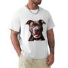 Pitbull Tshirt T Shirt Unisex Plain Tshirt