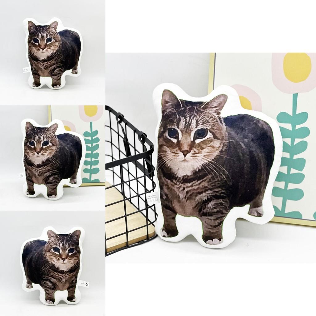 Plush Cat Animal With Pp Cotton Filling For Kids And Teens Comfort