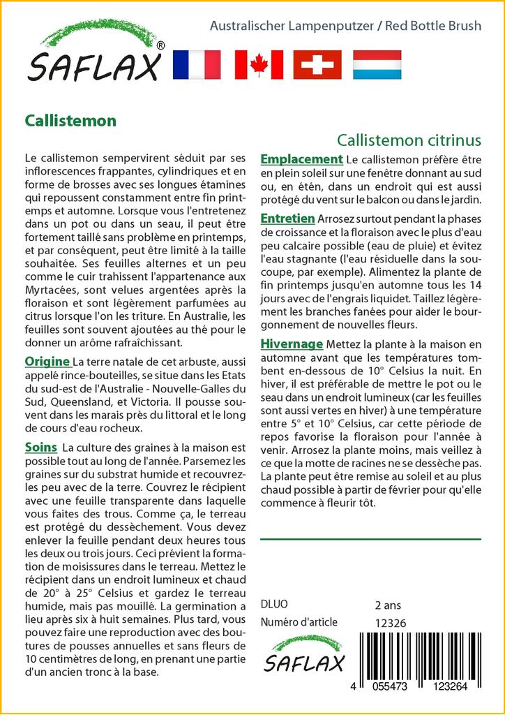 SAFLAX Красная щетка для бутылок - 400 семян - Callistemon citrinus
