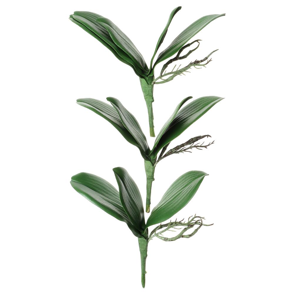 Цветы Листья орхидеи Лист фаленопсиса Пластиковая трава Имитация листьев Искусственные растения