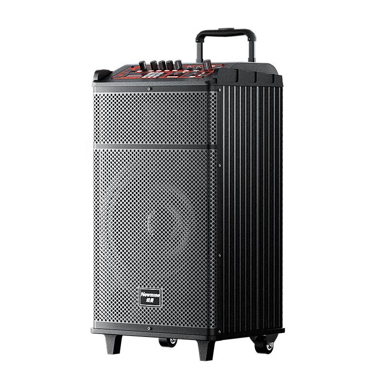Newmine N520 12-inch Portable Outdoor Karaoke Trolley Speaker CN plug (adapter included) (CN version)