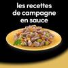 CESAR 24 Barquettes En Sauce 4 Variétés Pour Chien 150g (6x4)