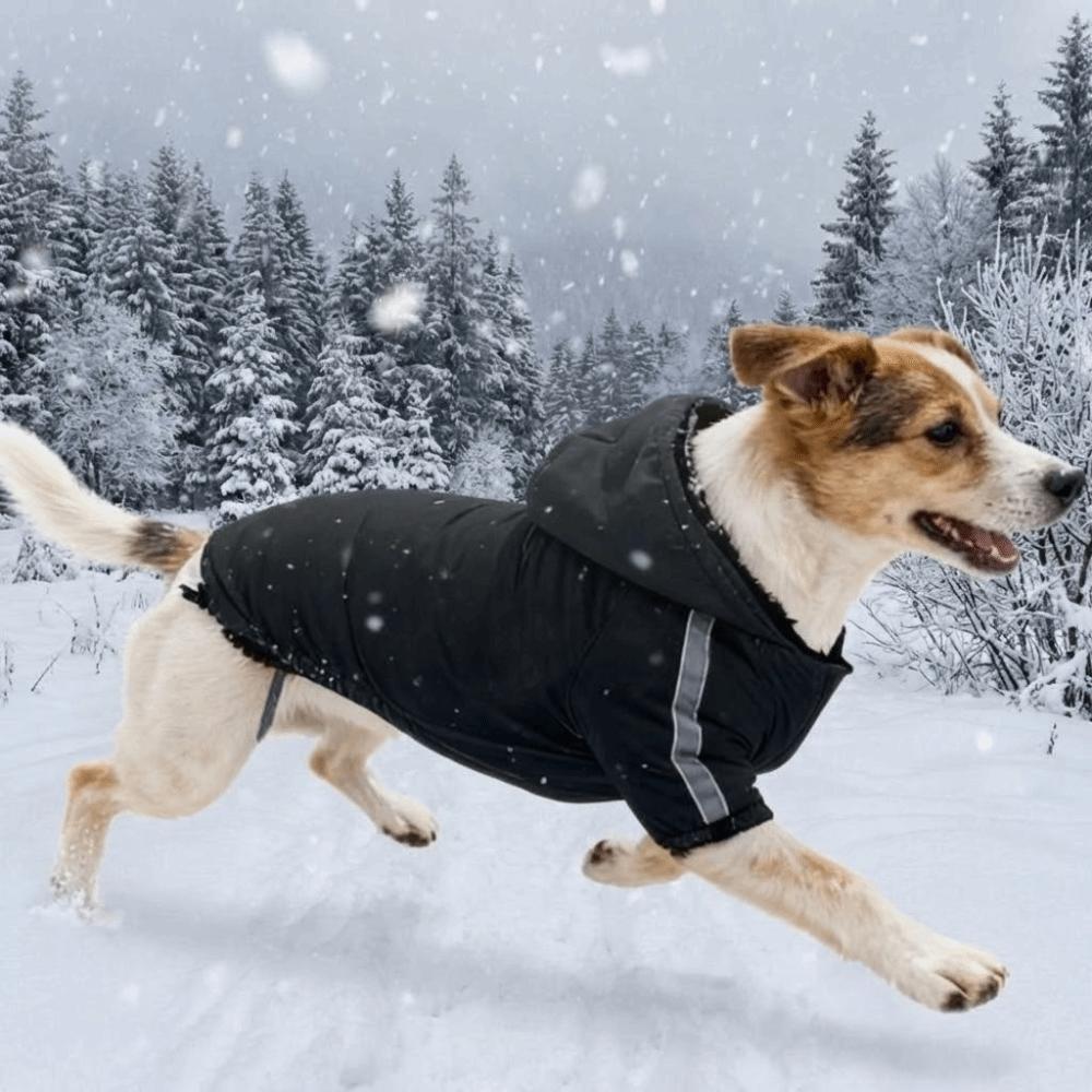 Windproof Fleece Dog Clothes Warm Pet Sweatshirt Fashion Dog Hooded Coat Outdoor