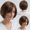 HAIRCUBE Short Bob Blend Human Hair Wigs Dark Brown Mixed Blonde Highlight Straight Wig with Side Part Bangs Heat Resistant
