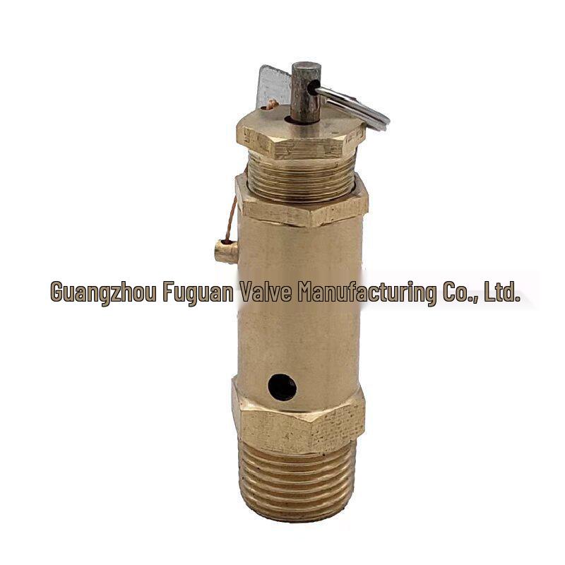 Fu Chao A21W-16T Pressure Relief Safety Valve for Steam Generator Boilers and Air Compressors