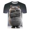 Интересная футболка с кошачьим принтом для мужчин, Персонализированная футболка с 3D-принтом животного, Летняя свободная футболка с коротким рукавом
