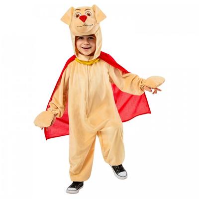 DC League Of Super-Pets Children/Kids Krypto Costume