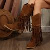 Suede Vintage Fringe Boots  Winter New Rivet Belt Buckle Pointed Toe Mid-Top Boots Plus Size Knight Boots Women