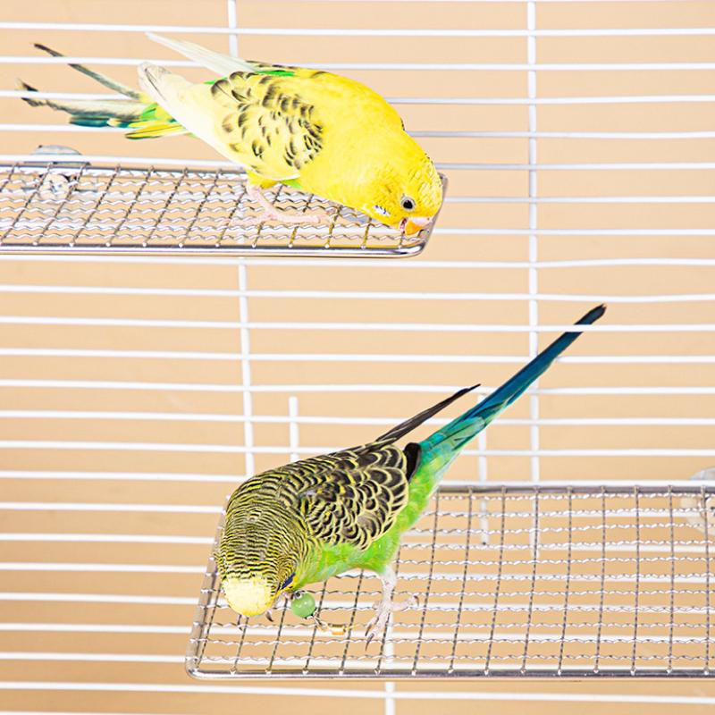 Pet Parrot Stainless Steel Rest Jump Platform Stand Board Chew Bite Toys Stick Tree Branch Stand Rack Bird Cage Accessories